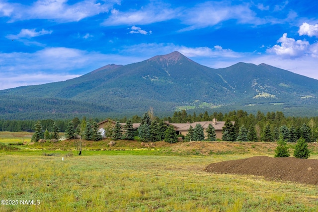 6552 Kelsey Springs Way, Flagstaff, AZ 86001 - view of mountain backdrop