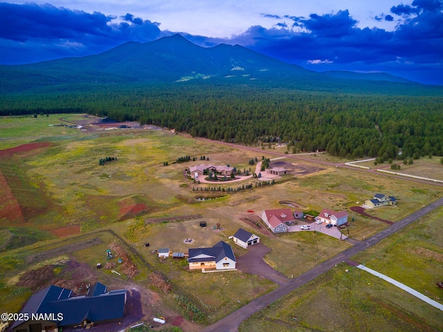 6552 Kelsey Springs Way, Flagstaff, AZ 86001 - drone / aerial view of a heavily wooded area and mountains