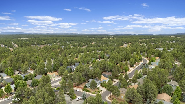 859 W Weston Trl, Flagstaff, AZ 86005 - photo 48