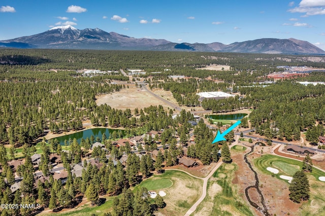 4455 W Braided Rein, Flagstaff, AZ 86005 - photo 47