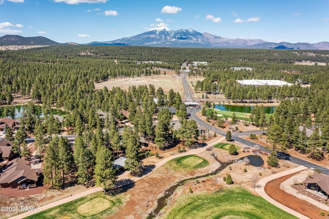 4455 W Braided Rein, Flagstaff, AZ 86005 - photo 43