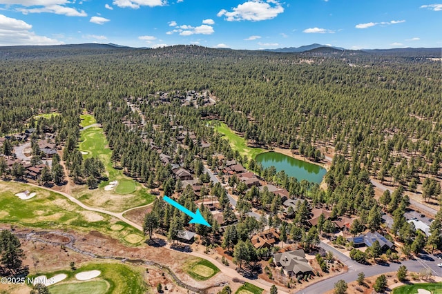 4455 W Braided Rein, Flagstaff, AZ 86005 - photo 45