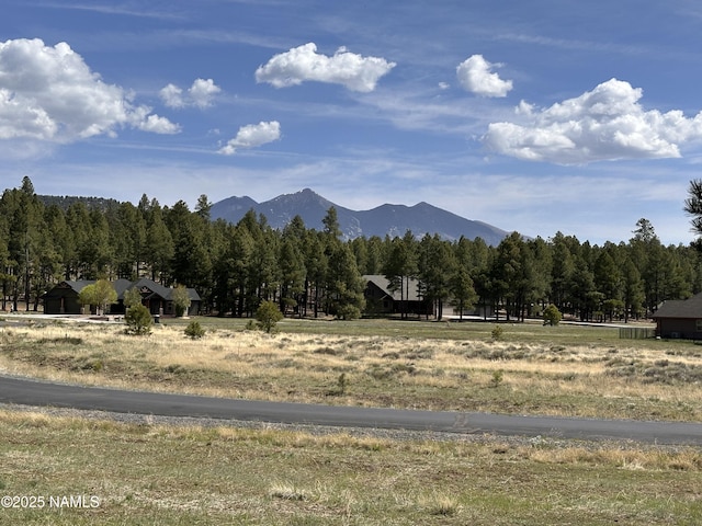 4536 Brackin Ranch Rd, Flagstaff, AZ 86001 - view of mountain background