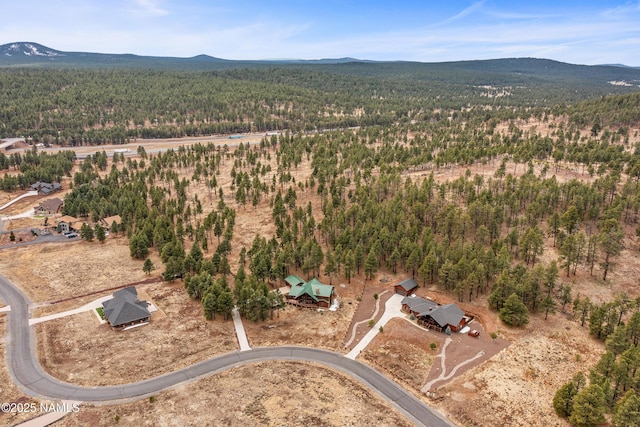 4536 Brackin Ranch Rd, Flagstaff, AZ 86001 - view of property location with a forest and a mountain backdrop