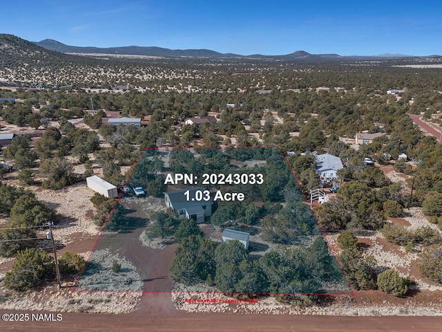 birds eye view of property featuring a mountain view