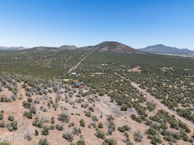 1330 Painted Pony Ln, Williams, AZ 86046 - photo 23
