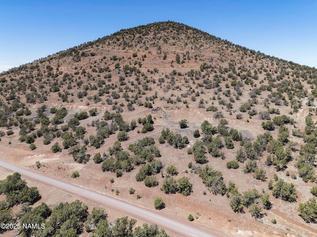 1330 Painted Pony Ln, Williams, AZ 86046 - photo 19