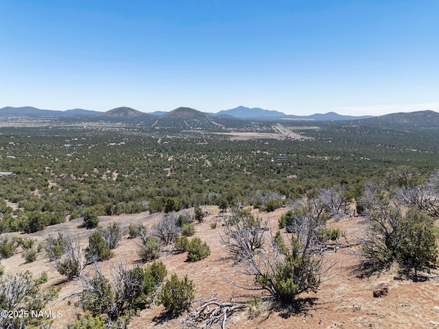 1330 Painted Pony Ln, Williams, AZ 86046 - photo 13