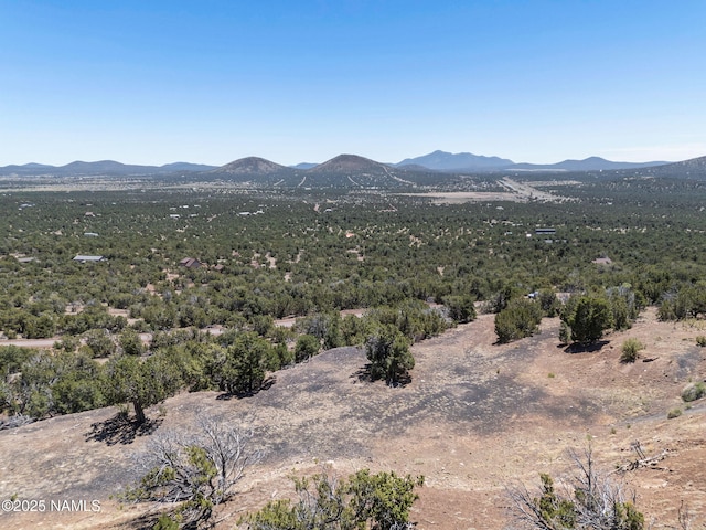1330 Painted Pony Ln, Williams, AZ 86046 - photo 11