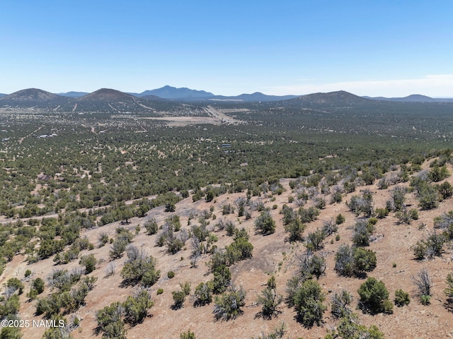 1330 Painted Pony Ln, Williams, AZ 86046 - photo 21