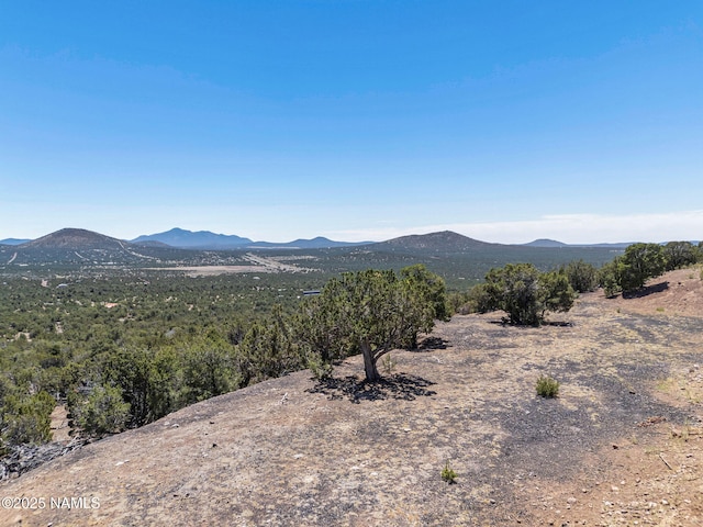 1330 Painted Pony Ln, Williams, AZ 86046 - photo 10