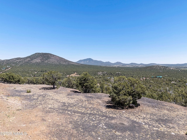 1330 Painted Pony Ln, Williams, AZ 86046 - photo 8