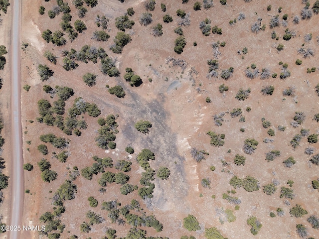 1330 Painted Pony Ln, Williams, AZ 86046 - photo 24