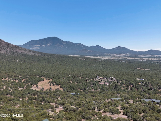 1330 Painted Pony Ln, Williams, AZ 86046 - photo 17