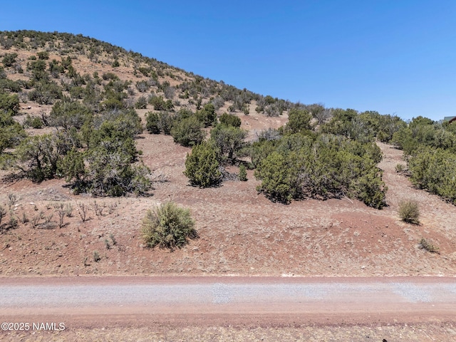 1330 Painted Pony Ln, Williams, AZ 86046 - photo 3