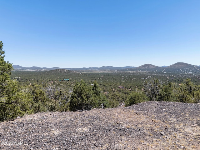 1330 Painted Pony Ln, Williams, AZ 86046 - photo 9