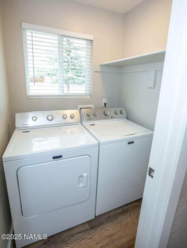 73 Seneca Dr, Flagstaff, AZ 86005 - laundry area featuring washing machine and clothes dryer, dark wood-style floors, and laundry area