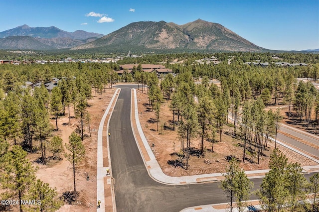 333 N Valerian Ln Lot 5, Flagstaff, AZ 86004 - photo 18