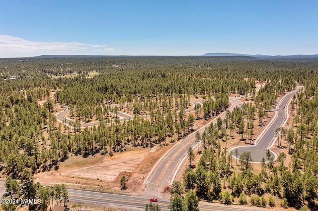 333 N Valerian Ln Lot 5, Flagstaff, AZ 86004 - photo 19
