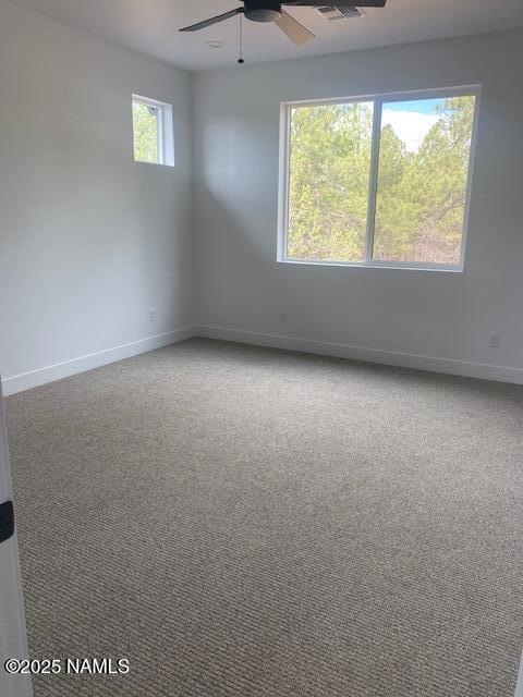 333 N Valerian Ln Lot 5, Flagstaff, AZ 86004 - photo 15