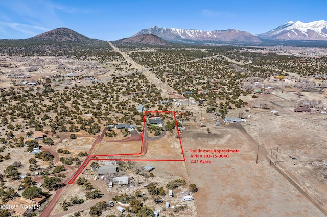 birds eye view of property with a mountain view