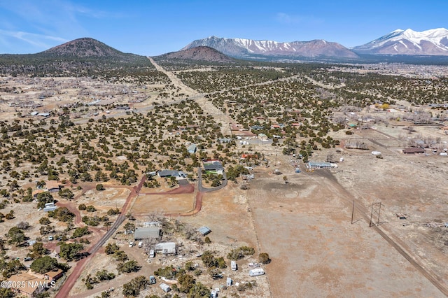9655 Rosewood Dr, Flagstaff, AZ 86004 - photo 48