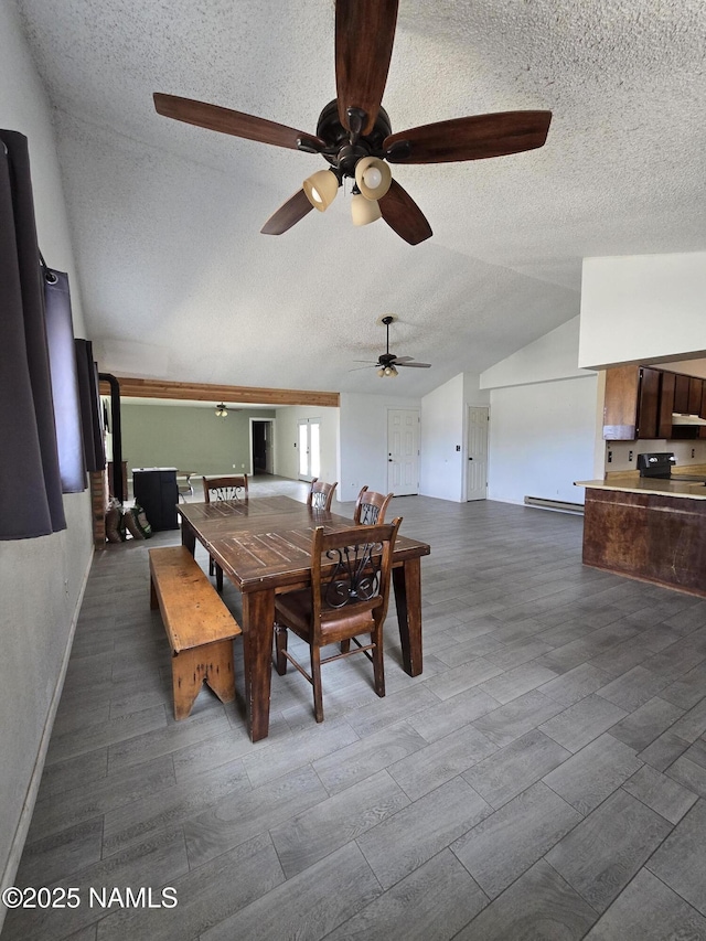 5895 Timberline Trl, Flagstaff, AZ 86004 - dining space with a textured ceiling, ceiling fan, baseboard heating, and lofted ceiling
