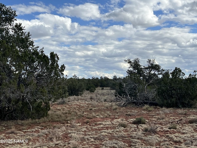8394 Bird Dog Cir, Williams, AZ 86046