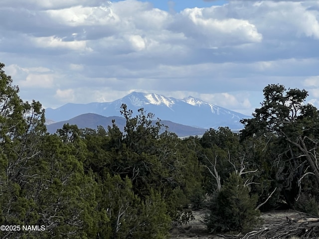 8394 Bird Dog Cir, Williams, AZ 86046