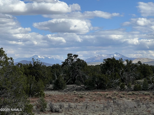 8394 Bird Dog Cir, Williams, AZ 86046