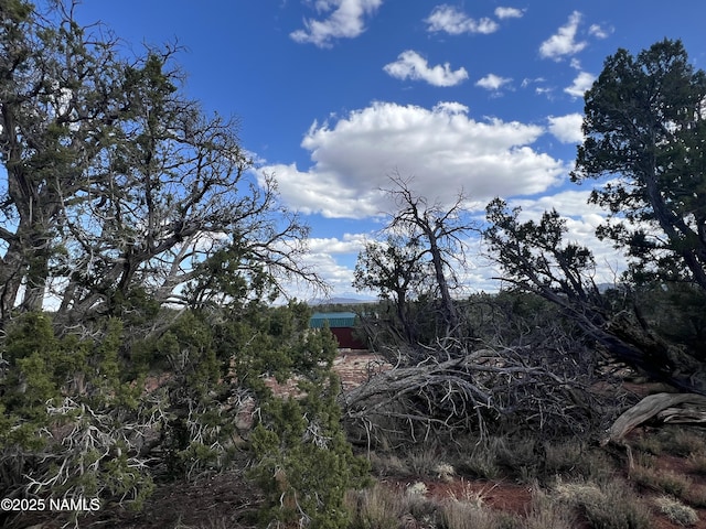 8394 Bird Dog Cir, Williams, AZ 86046