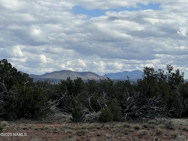 8394 Bird Dog Cir, Williams, AZ 86046