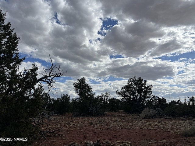 8394 Bird Dog Cir, Williams, AZ 86046