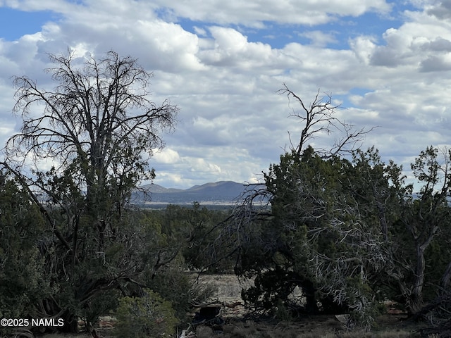 8394 Bird Dog Cir, Williams, AZ 86046