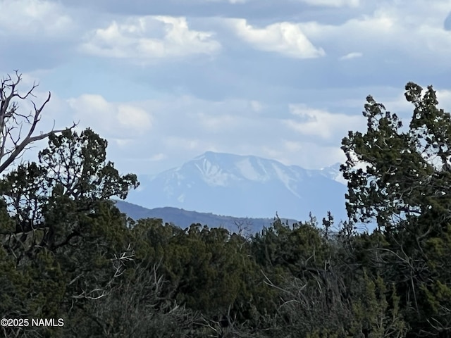 8394 Bird Dog Cir, Williams, AZ 86046