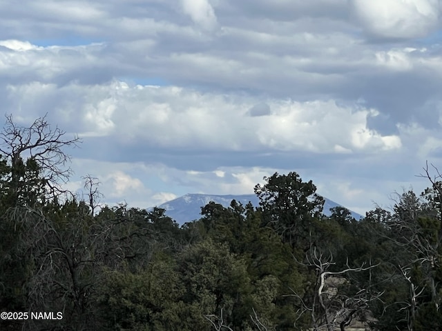 8394 Bird Dog Cir, Williams, AZ 86046