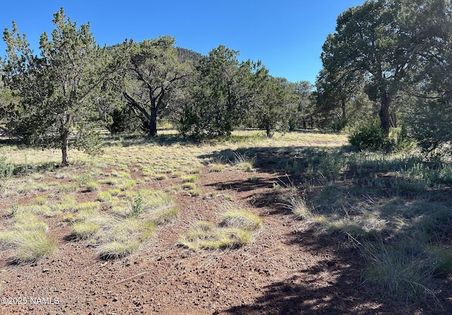 7123 N Audrey Way, Williams, AZ 86046