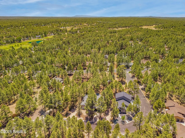 5097 E Seminole Dr, Flagstaff, AZ 86004 - photo 45