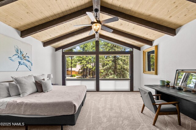 5097 E Seminole Dr, Flagstaff, AZ 86004 - photo 22