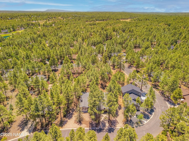 5097 E Seminole Dr, Flagstaff, AZ 86004 - photo 44