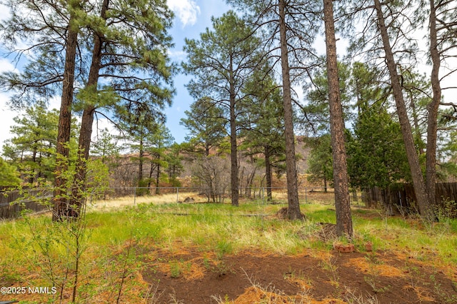 6160 N Dodge Ave, Flagstaff, AZ 86004 - view of undeveloped land