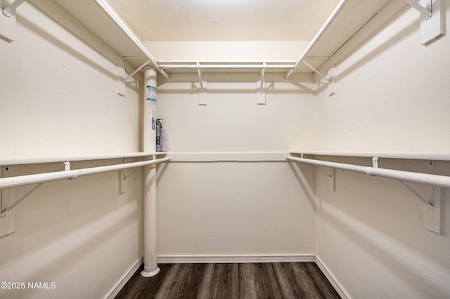 6160 N Dodge Ave, Flagstaff, AZ 86004 - walk in closet featuring dark wood-style floors