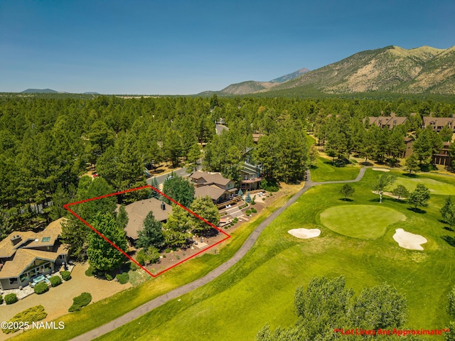 4333 E Coburn Dr, Flagstaff, AZ 86004 - photo 61