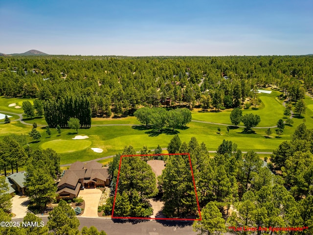 4333 E Coburn Dr, Flagstaff, AZ 86004 - photo 59