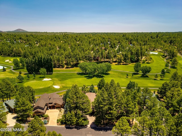 4333 E Coburn Dr, Flagstaff, AZ 86004 - photo 60