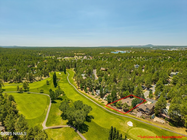 4333 E Coburn Dr, Flagstaff, AZ 86004 - photo 62