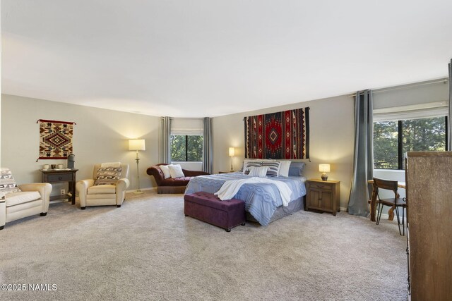 890 E David Dr, Flagstaff, AZ 86001 - photo 25