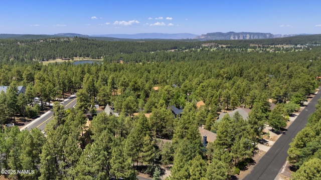 17670 Mustang Rd, Munds Park, AZ 86017 - photo 33