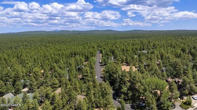 17670 Mustang Rd, Munds Park, AZ 86017 - photo 29