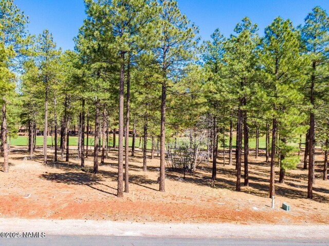 4160 Lariat Loop, Flagstaff, AZ 86005